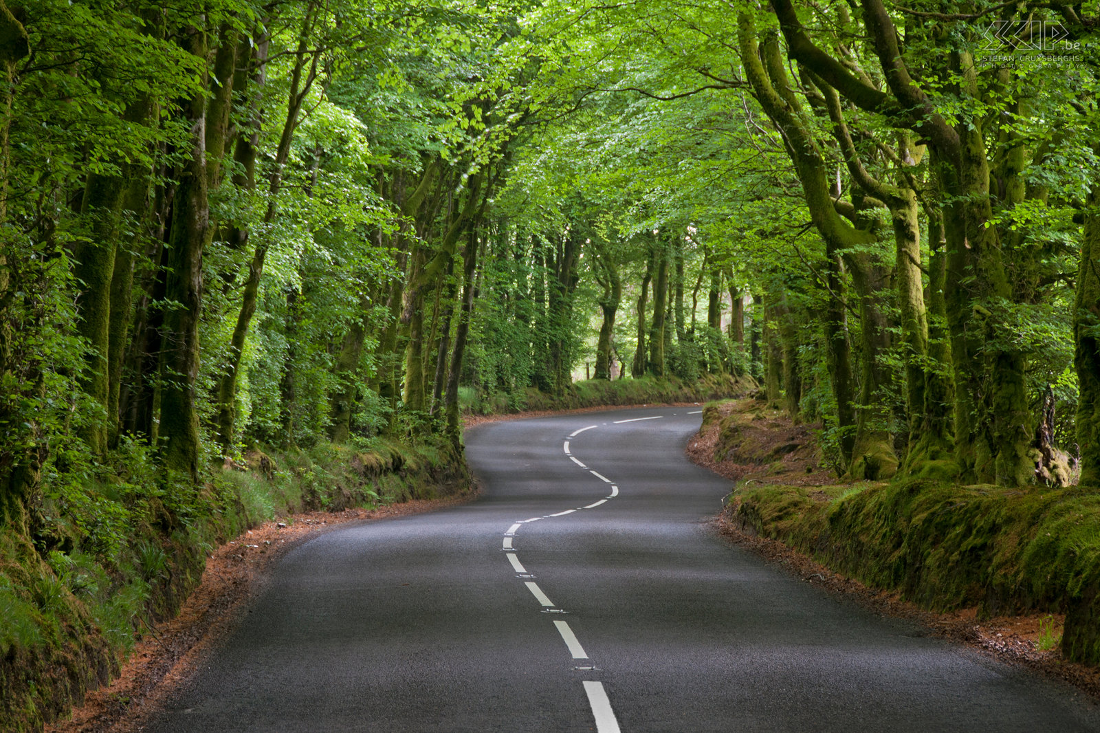 Exmoor - een lange en kronkelende weg Een lange kronkelende weg in het nationale park Exmoor. Stefan Cruysberghs